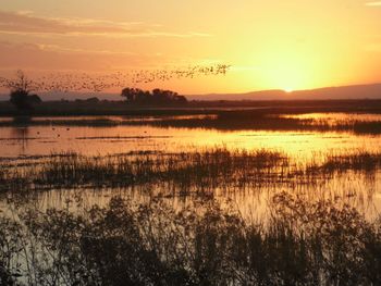 Scenic view of lake against sky during sunset