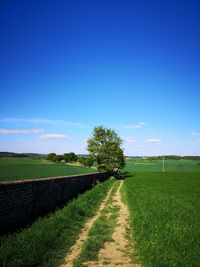 Scenic view of field against blue sky