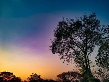 Low angle view of silhouette trees against sky at sunset