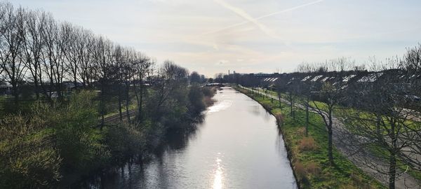 Scenic view of river amidst trees against sky