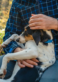 A man in jeans and a plaid shirt is holding a dog on his lap. a hand strokes the animal's head.