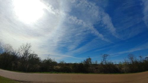 Low angle view of trees against sky