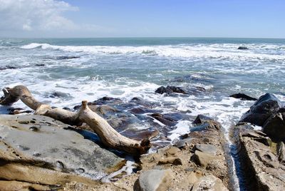 Driftwood on beach against sky