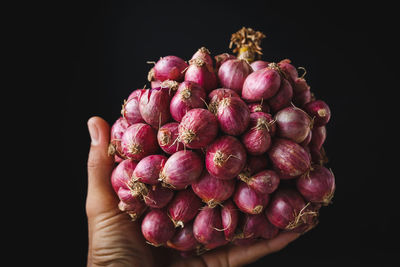 Close-up of hand holding fruit against black background