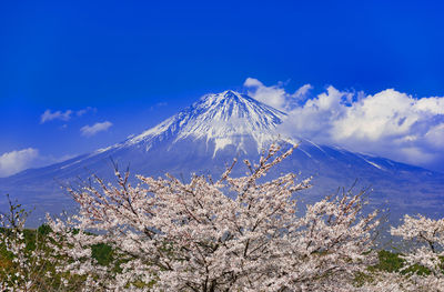 Scenic view of snowcapped mountains against blue sky