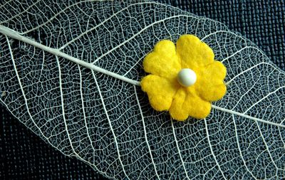 Close-up of yellow fishing net