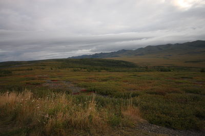 Scenic view of landscape and mountains against sky