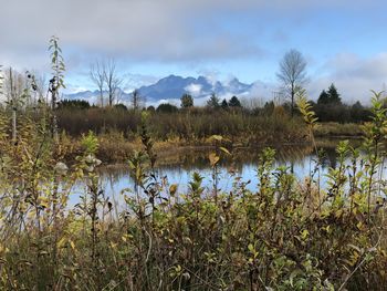 Scenic view of lake against sky