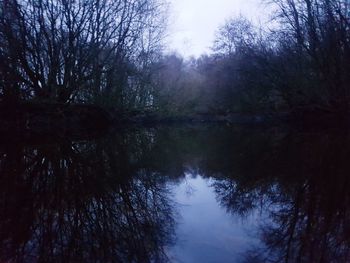 Reflection of trees in lake