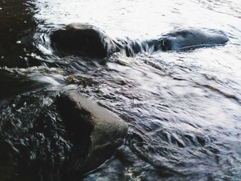 Stream flowing water