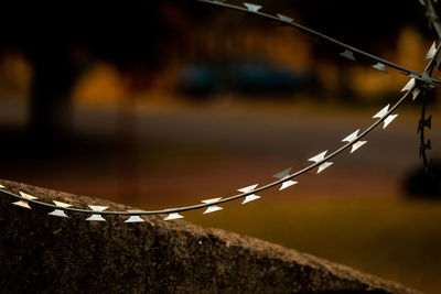 Close-up of barbed wire on fence