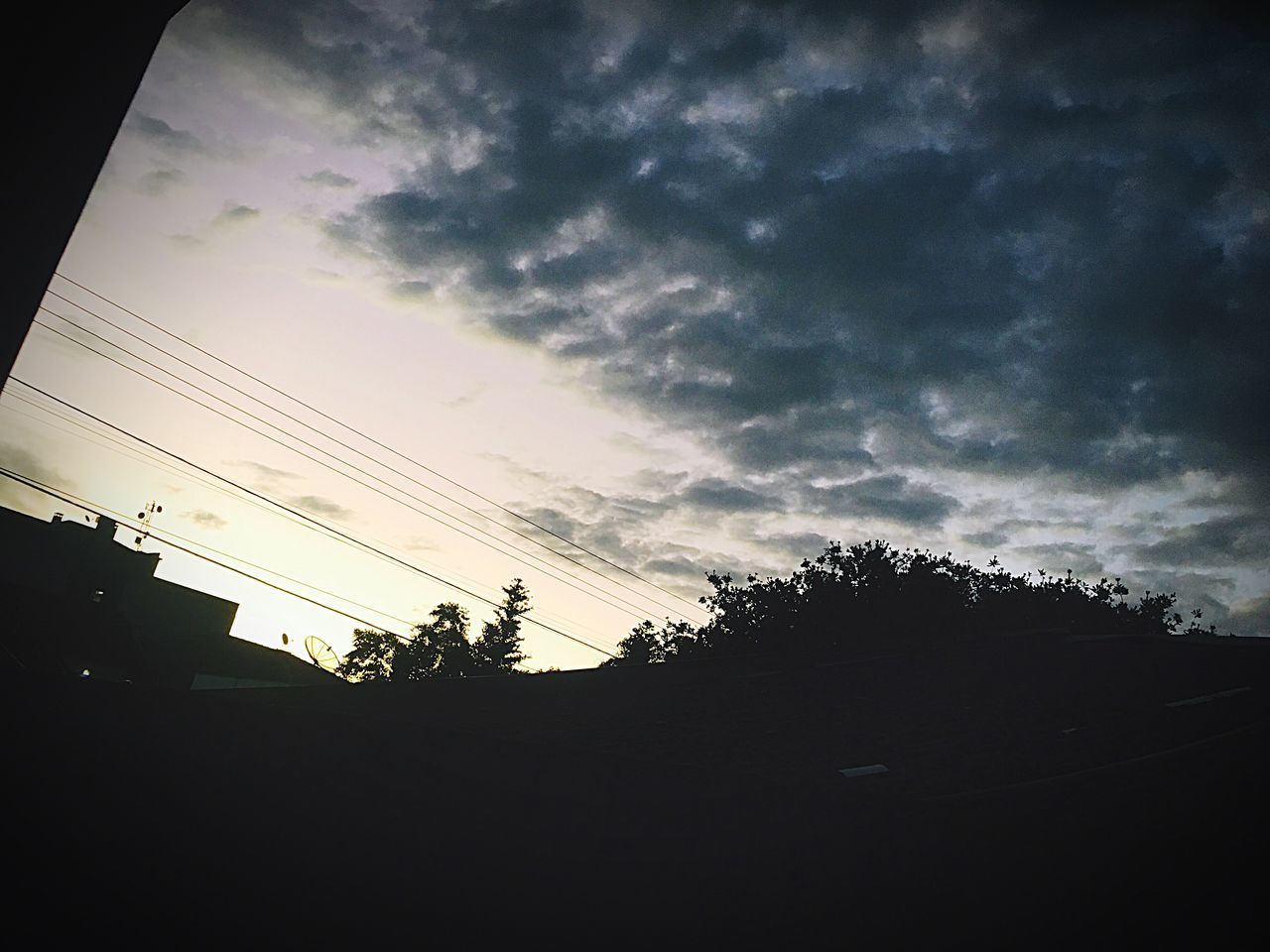 LOW ANGLE VIEW OF SILHOUETTE TREES AGAINST SKY