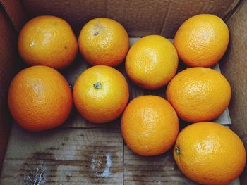 High angle view of oranges on table