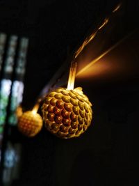 Close-up of fruits hanging on wall