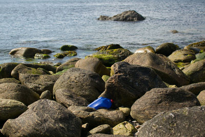 High angle view of bird on rocks at beach