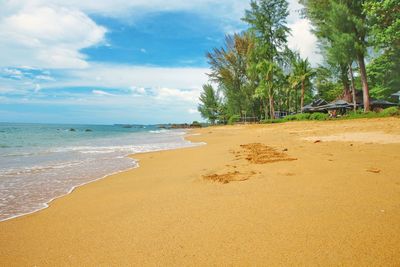 Scenic view of beach against sky