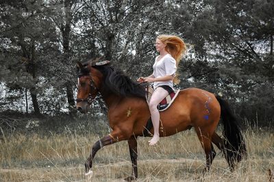 Full length of young woman riding horse on field against trees