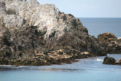 Rock formation on beach against sky