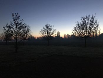 Silhouette trees on field against sky during sunset
