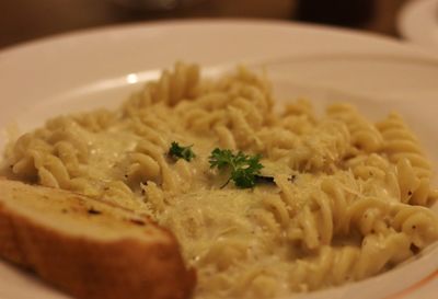 Close-up of meal served in plate