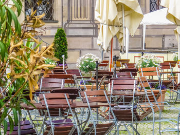 Plants in front of building