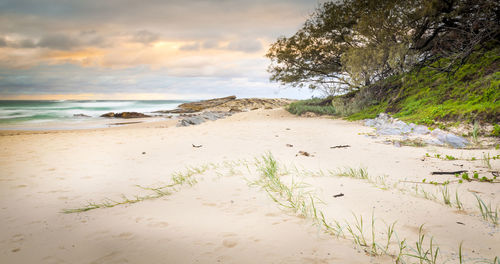 Scenic view of beach against sky