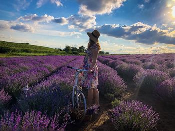 Woman with a bicycle in a field of lavender