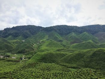 Scenic view of agricultural field against sky