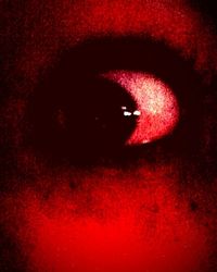 Close-up of red object