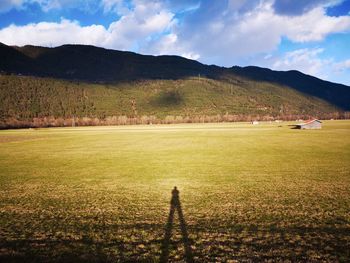 Scenic view of field against sky