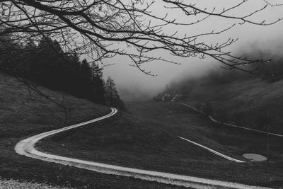 Scenic view of road by trees during foggy weather