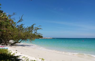 Scenic view of beach against blue sky