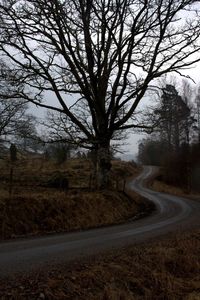 Empty road along bare trees
