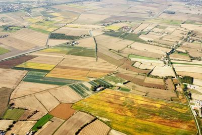 Aerial view of agricultural field