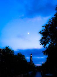 Low angle view of silhouette trees against blue sky