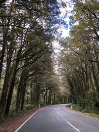 Empty road amidst trees in forest