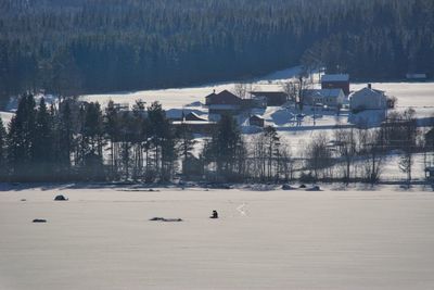 Scenic view of snow covered landscape and trees