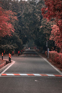 Road by trees in city