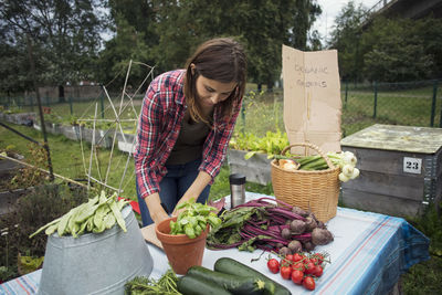 Mid adult woman standing at table full of garden vegetables