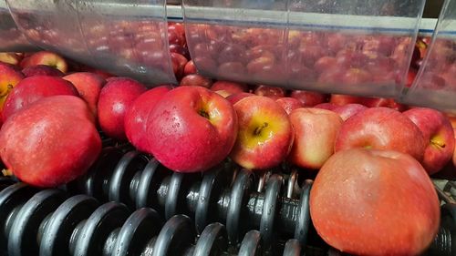 High angle view of apples in container