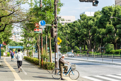 People on road against trees in city