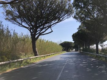Road amidst trees against sky
