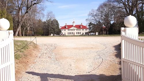 View of footpath along trees