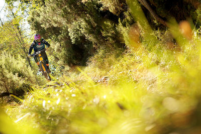 Person riding plants on land