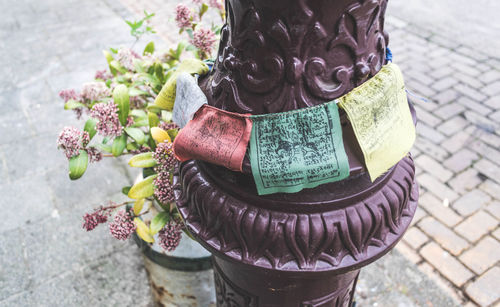 High angle view of pink flower bouquet on street