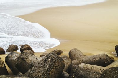 Rocks on shore at beach