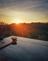 Trees against sky during sunset