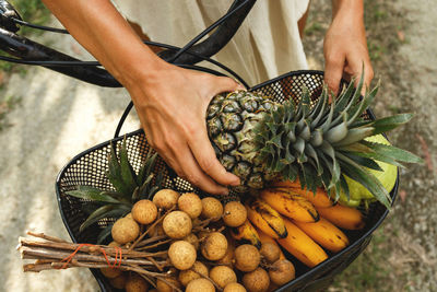 Midsection of woman picking fruit