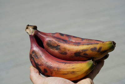 Close-up of hand holding fruit