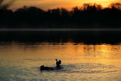 Silhouette men on lake against sky at sunset